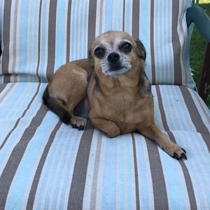 Meet your Posher, Julianna